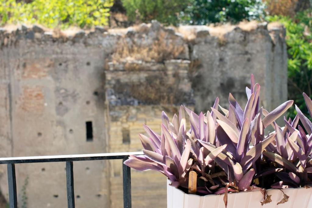 Alhambra Enamora 1 -Paseo De Los Tristes View 1 -C グラナダ エクステリア 写真